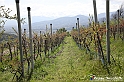 VBS_7427 - PressTour educational dedicato ai vini del Pinerolese e all’olio prodotto sulla collina di Pinerolo